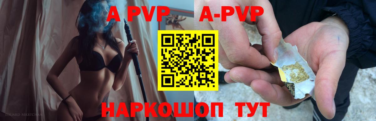 Alfa_PVP СК Дмитров